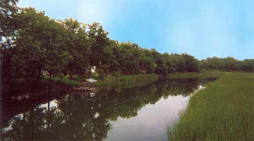 Mississippi River near Pennington