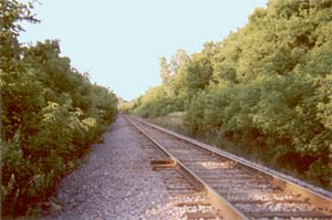 Tracks at Site of Attempted Kasota Hold Up